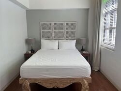 Lorong 41 Geylang (D14), Terrace #529253741